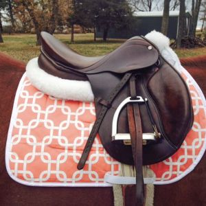 horse riding equipment