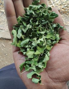 oganically grown n dried moringa leaves