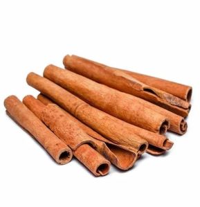 Cinnamon Stick