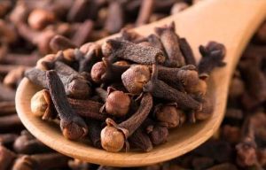 Clove Seeds