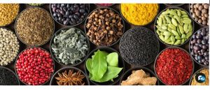 indian organic spices