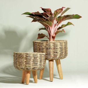 Seagrass planters