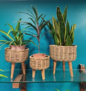 Seagrass Planters set