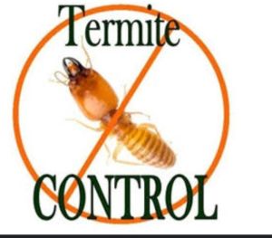 termite control services