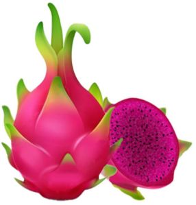 Dragon Fruits