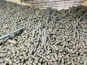 Soyabean Biomass Briquettes