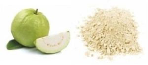 Spray Dried Guava Powder