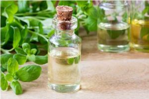 PURE MARJORAM ESSENTIAL OIL