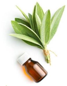 Sage Essential Oil