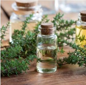 Thyme Essential Oil