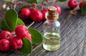 Wintergreen Essential Oil