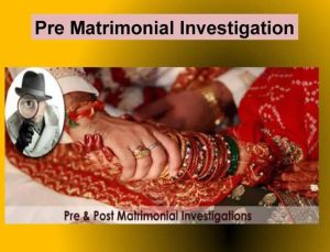 Pre Matrimonial Investigation