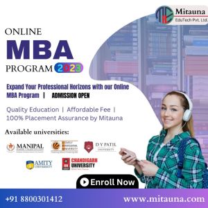 Online MBA Program