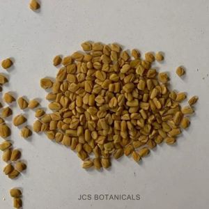 dried fenugreek seeds