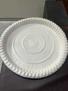 Biodegradable Paper Plate