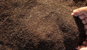 vermicompost