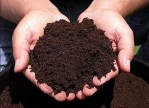 Vermicompost Fertilizer