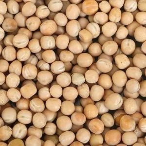 white pigeon peas