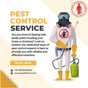 Pest Control Services