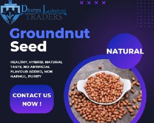 Groundnut Seeds