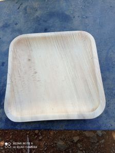 areca plates 9 square