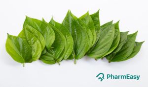 Betel Leaf