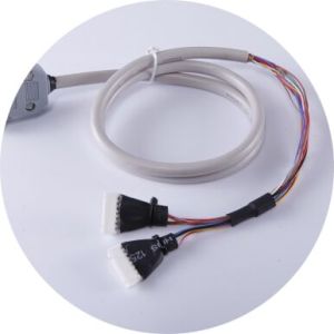 Cable Assembly