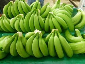 Fresh Bananas