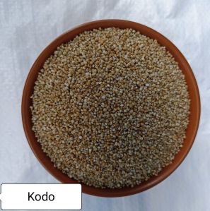 Kodo Millet