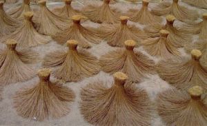 palmyra fibre