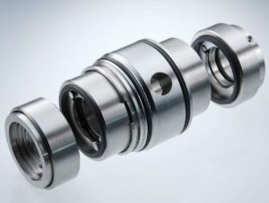 Double Mechanical Seals