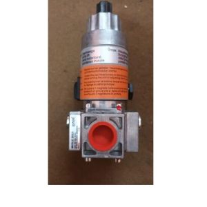 Gas Pressure Regulator