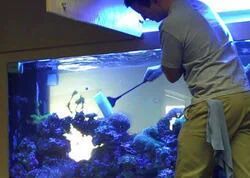 aquarium maintenance service