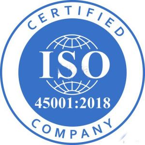 ISO 45001:2018 Certification Consultancy