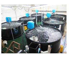 Aquaculture Equipment