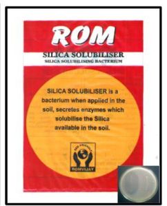 ROM Silica Solubilizer Biofertilizer