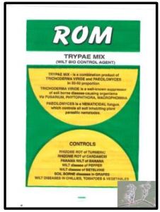 ROM Try Pae Mix