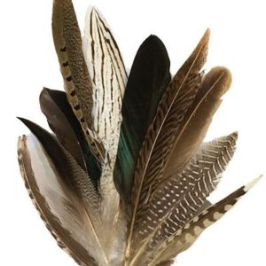 natural feathers