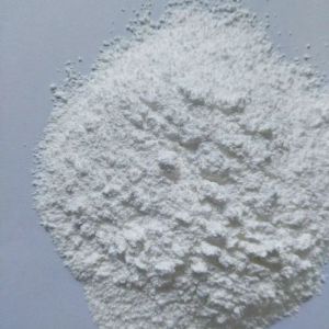 Maize Starch Powder