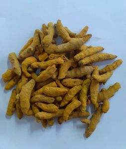 Turmeric Fingers