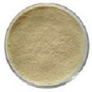 Costus pictus powder