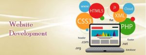 cutomised website development