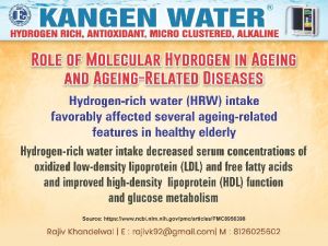 Role of Molecular Hydrogen Flyer