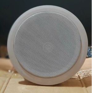 ceiling speaker