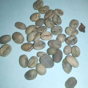 Raw Coffee Beans