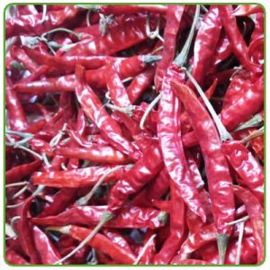 Teja Dried Chilli - Red Chilli With Stem