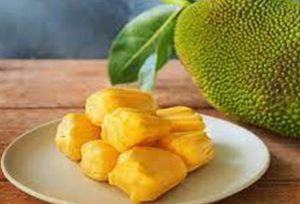 Fresh Jackfruit