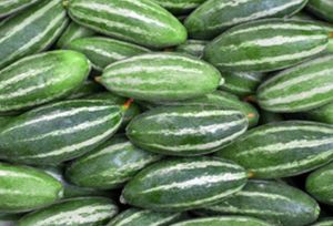 Fresh Pointed Gourd