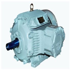 1HP Flame Proof Electric Motor