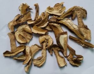 Imported Dried Porcini Mushroom